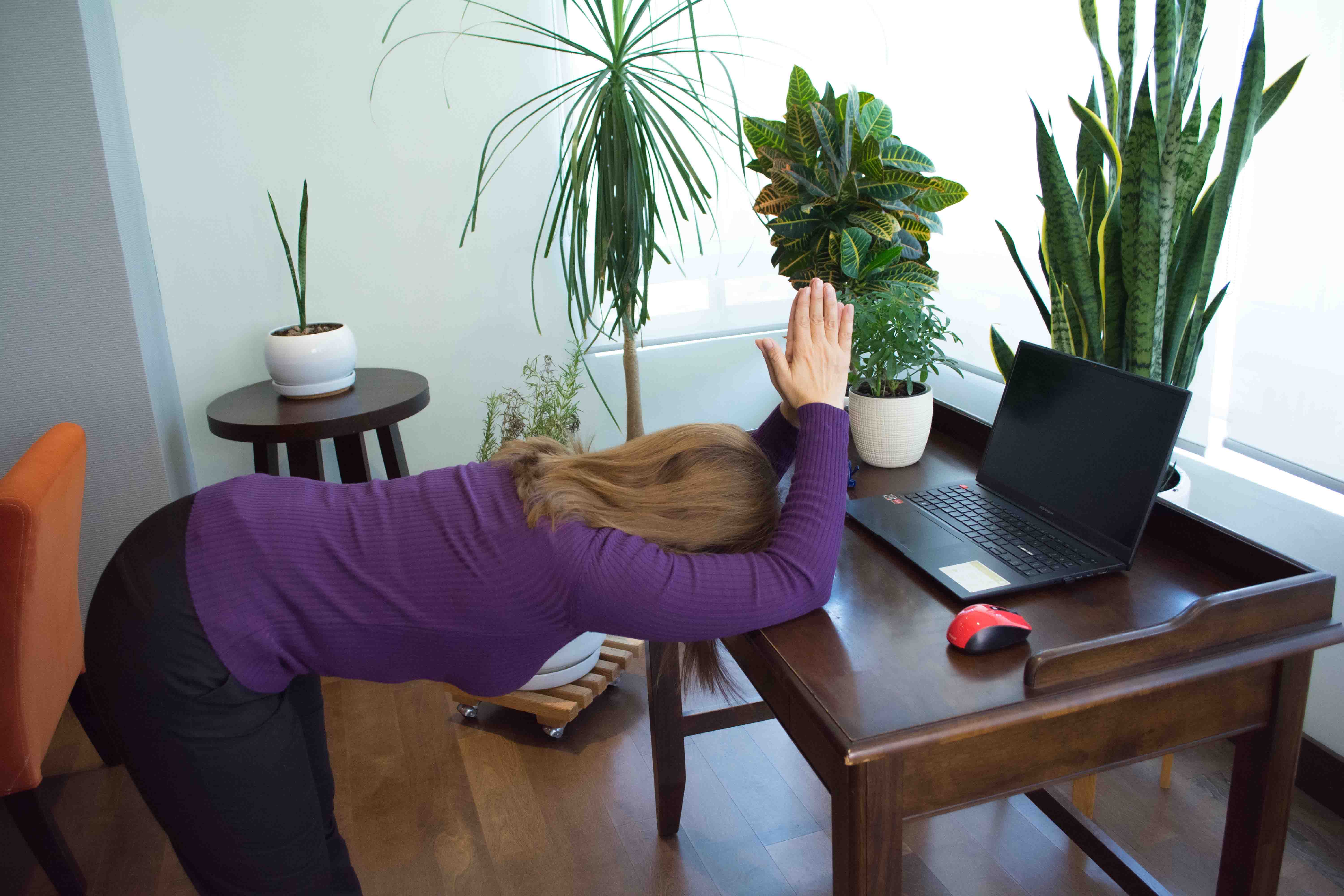 Estiramiento de torso y espalda