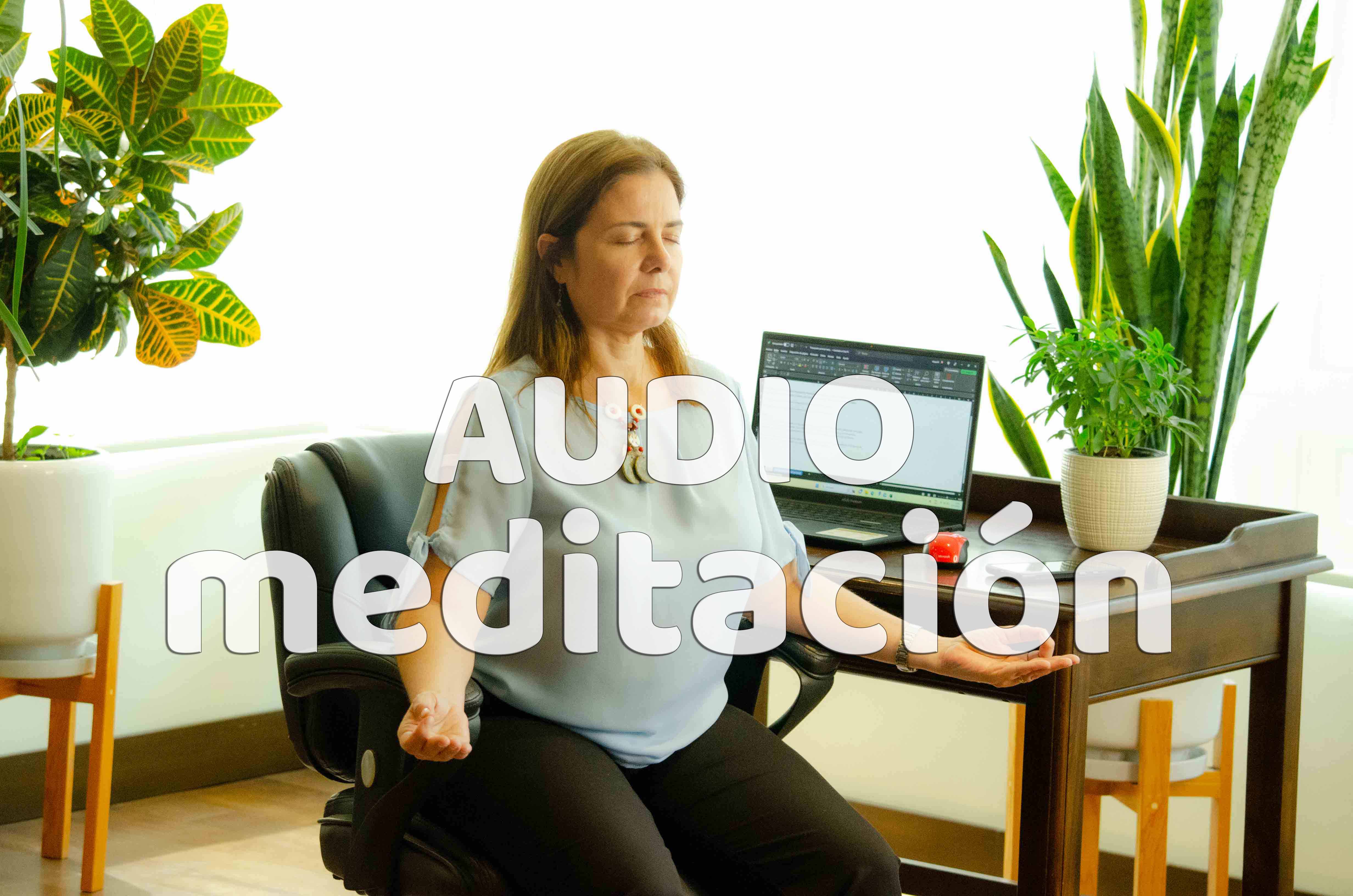 Meditación Puntos Energéticos: Supervivencia